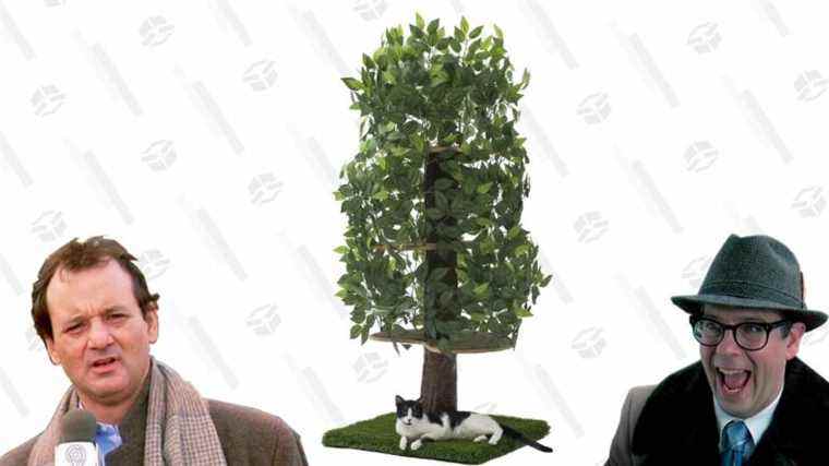 Obtenez cet arbre à chat On2 Pets très littéral pour 30% de réduction et espérons qu’ils l’aimeront autant que la boîte