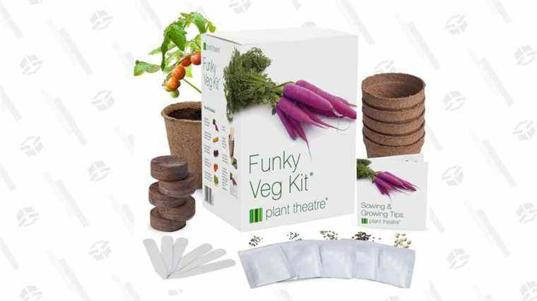 Obtenez le kit de démarrage Plant Theatre Funky Veg Garden pour 14 $, car ce ne sera peut-être pas février pour toujours