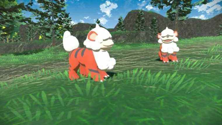 Pokémon Legends: Arceus: Obtenez un Growlithe Hisuian et 20 boules de plumes dans une nouvelle distribution de cadeaux mystère
