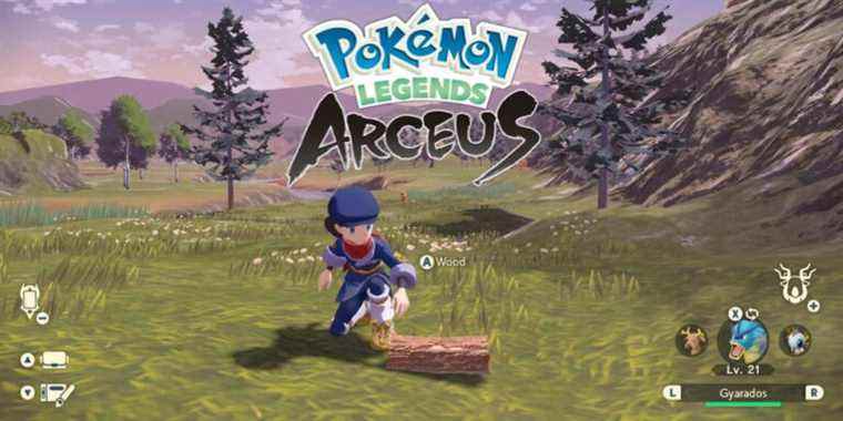 Pokemon Legends: Arceus – Où trouver du bois
