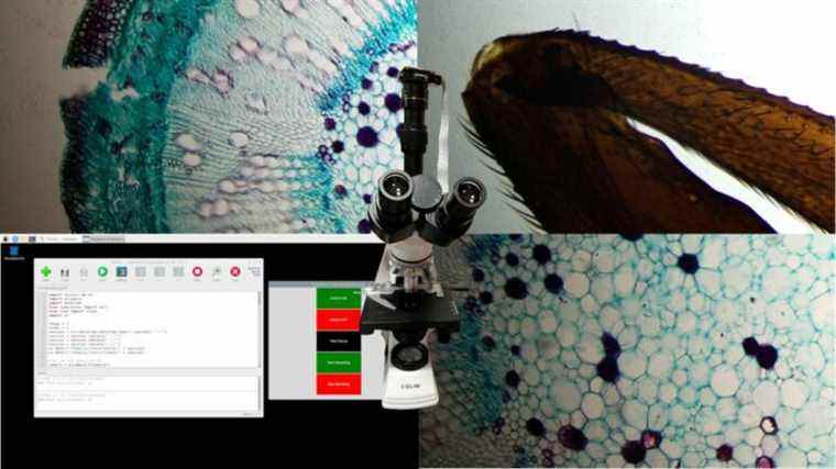 Raspberry Pi capture des merveilles microscopiques avec une caméra HQ