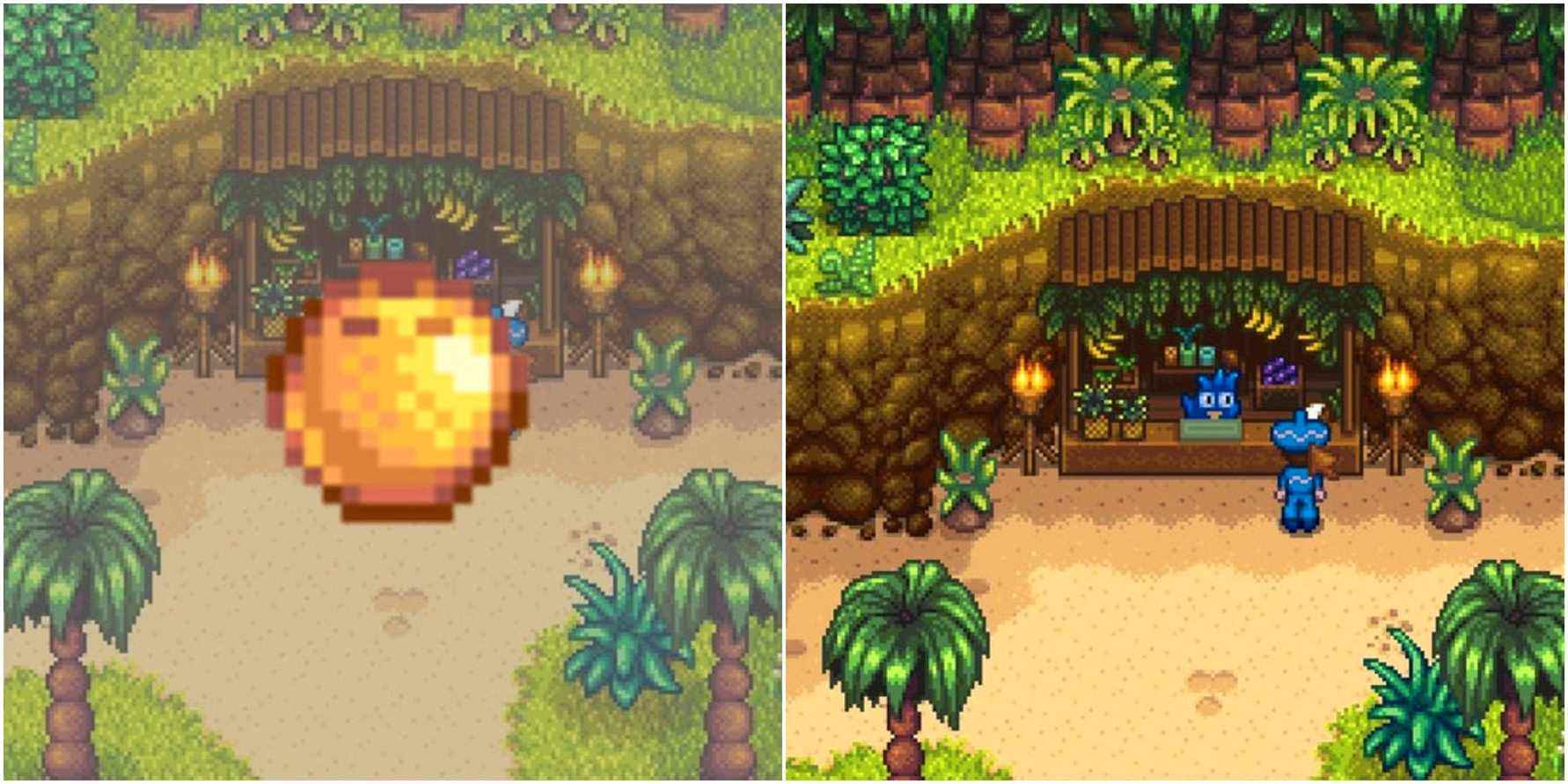 Stardew Valley: Guide complet des noix de coco dorées
