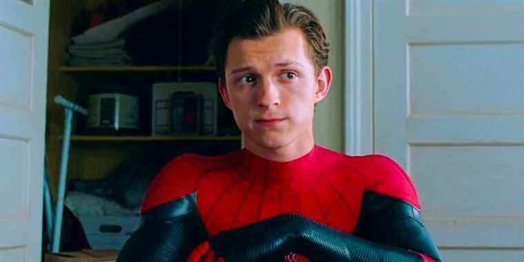 Tom Holland révèle le seul vengeur avec lequel il veut que Spider-Man fasse équipe
