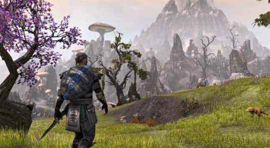 Un deuxième jeu de société Elder Scrolls est en développement