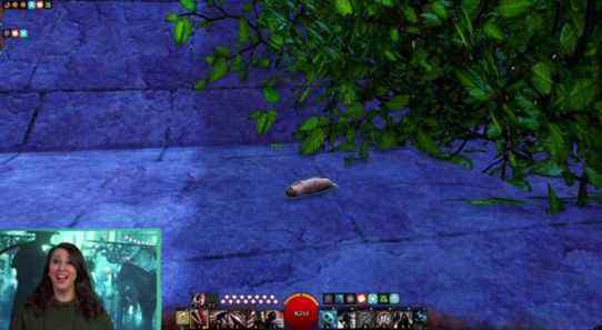 Un joueur de Guild Wars 2 habille son personnage en développeur "Kitten Killer"