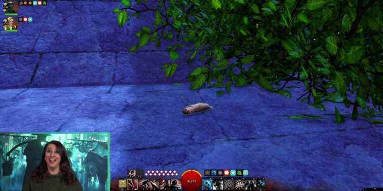 Un joueur de Guild Wars 2 habille son personnage en développeur "Kitten Killer"
