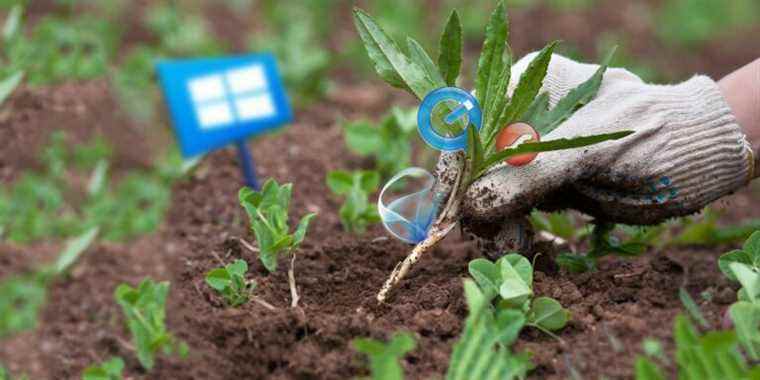 12 programmes et applications Windows inutiles que vous devriez désinstaller