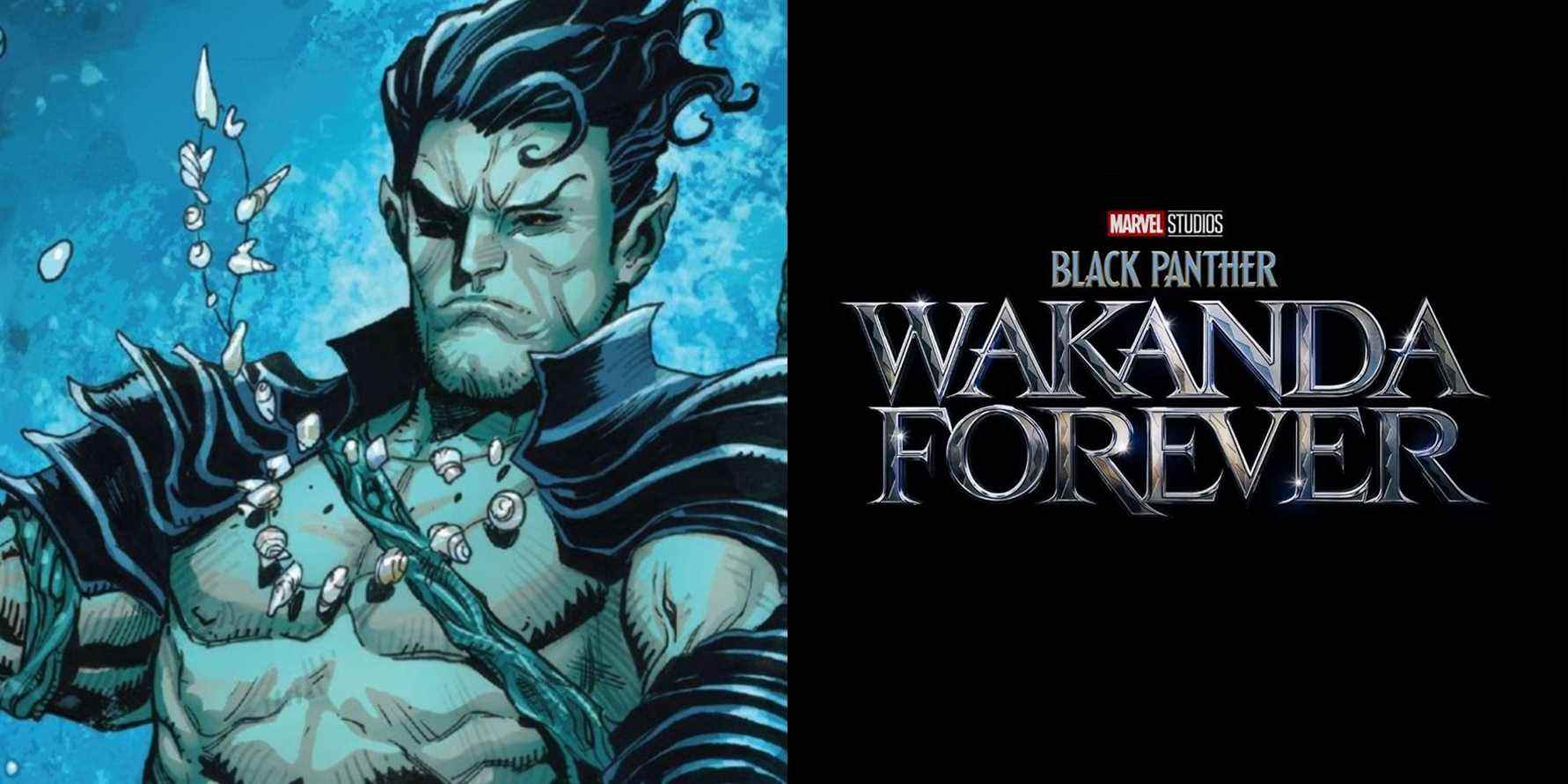 Black Panther Wakanda Forever Namor