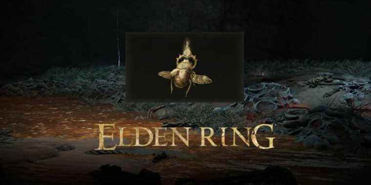 elden ring gold scarab talisman guide