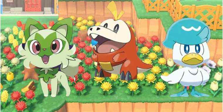 scarlet violet starters animal crossing