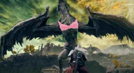 Wyvern bra