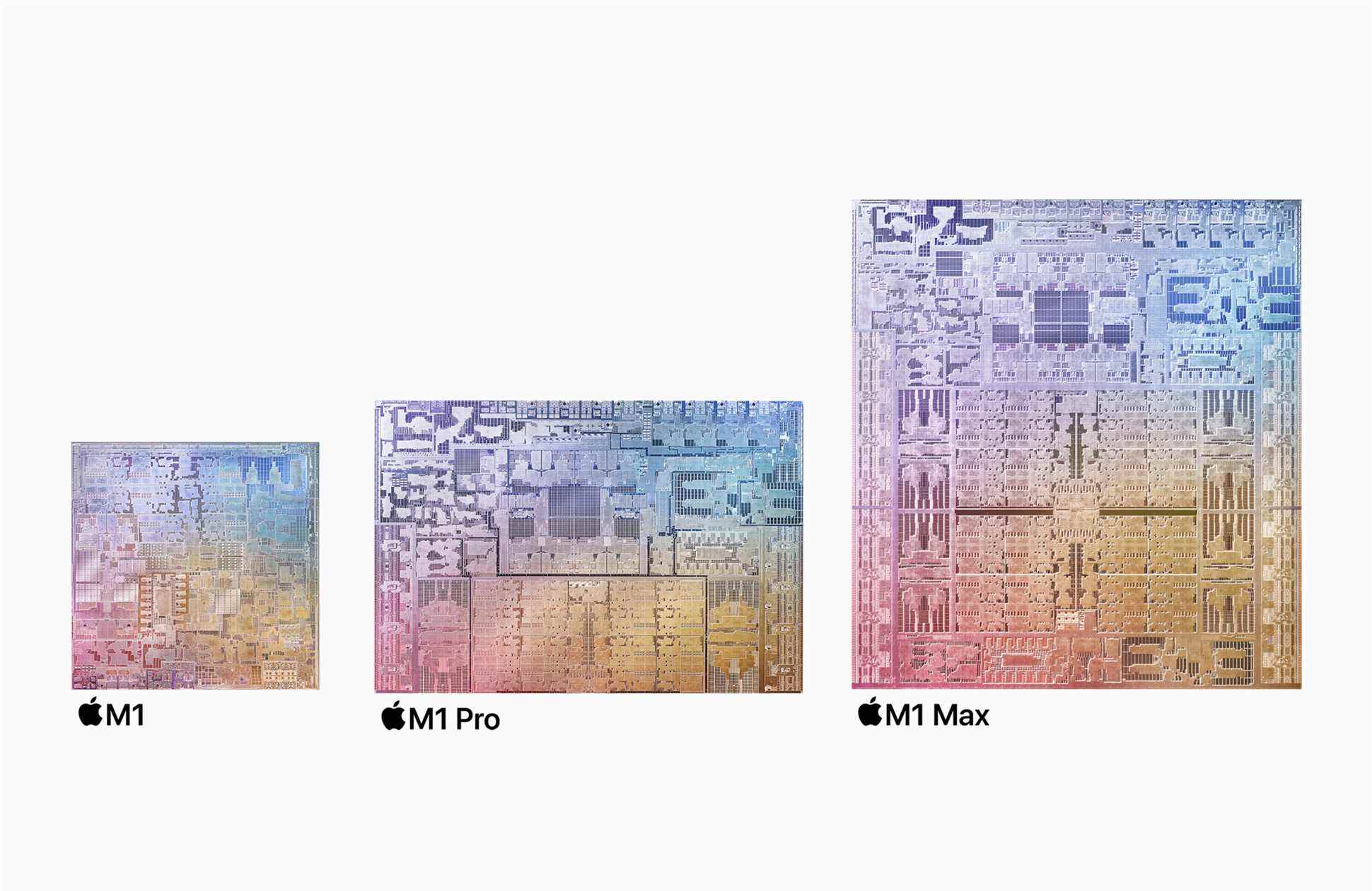 La famille de processeurs Apple M1 avec étiquettes.