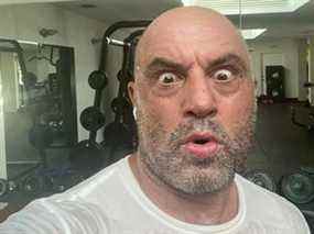 Sweaty Joe Rogan après l'entraînement.