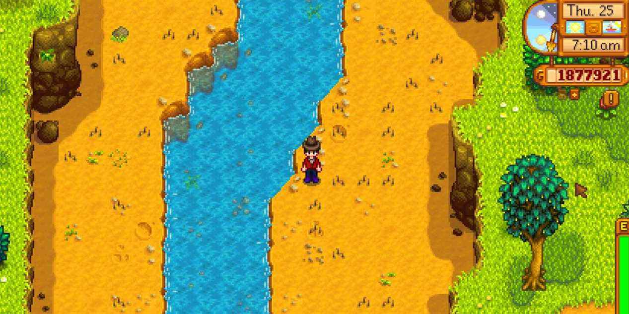 Stardew-Valley-player-character-standing-artifact-spots-pres-de-la-rivière