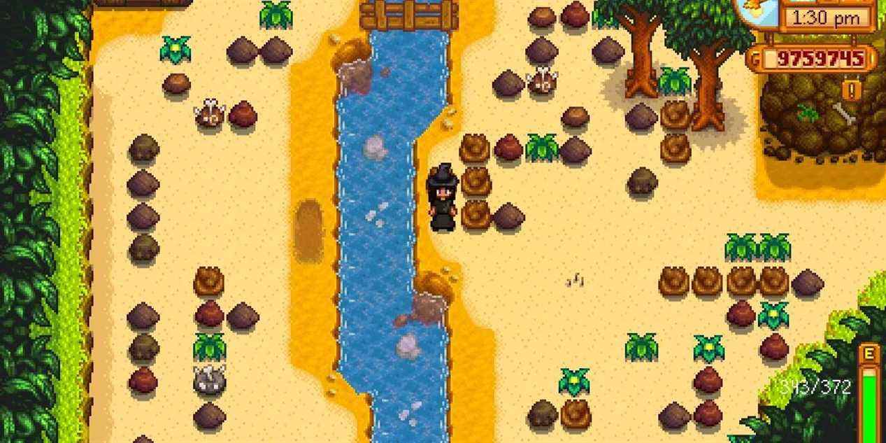 Stardew-valley-Ginger-Island-Dig-Site-Zone