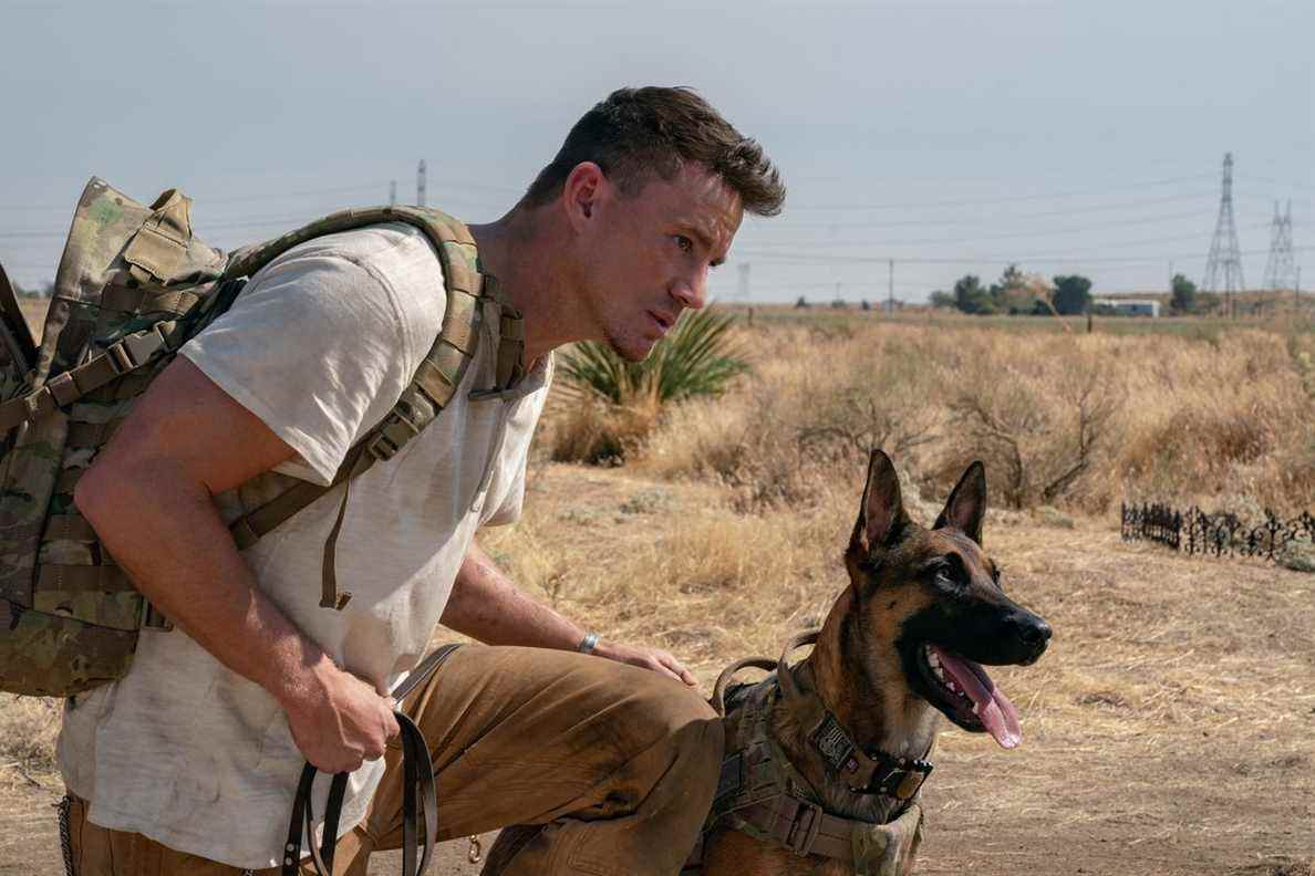 Channing Tatum et Lulu le malinois belge dans Dog.