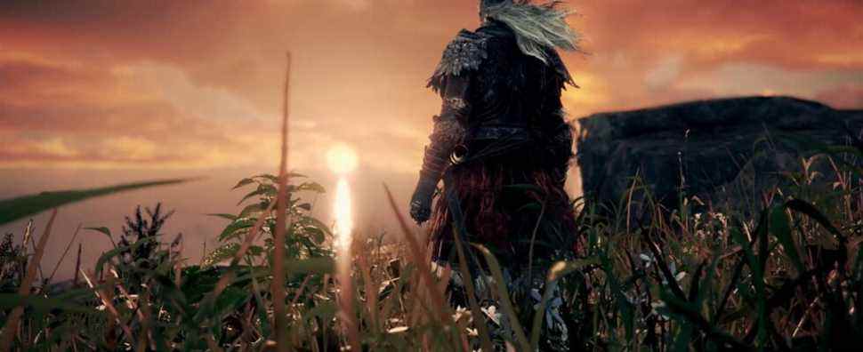 An in-game screenshot from Elden Ring showing a Tarnished looking at the sunset.