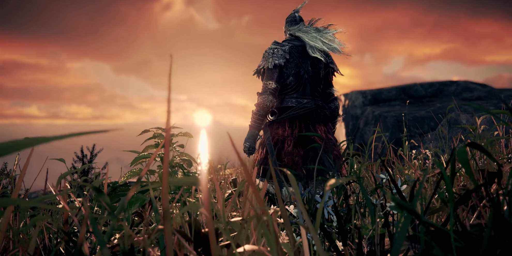 An in-game screenshot from Elden Ring showing a Tarnished looking at the sunset.