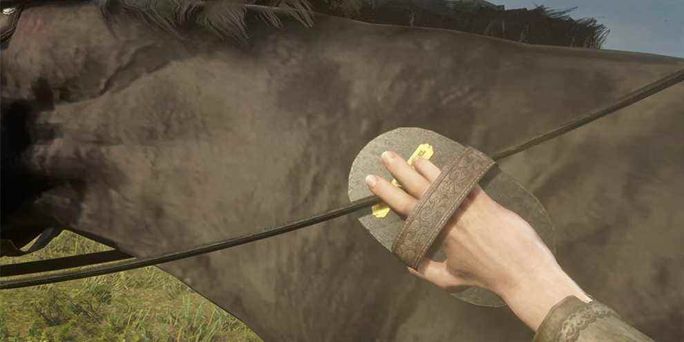 Red-Dead-Online-Brosse-Cheval