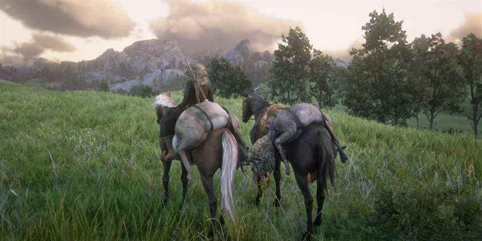 Red-Dead-Online-Deux-chevaux-avec-cargaison