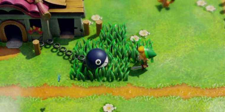 Link encountering a Chain Chomp in Link's Awakening