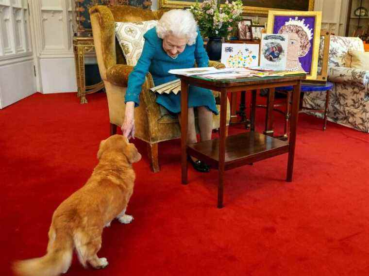 La reine Elizabeth « est trop fragile pour promener son Corgis »