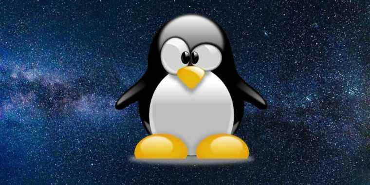 Pourquoi le logo Linux est-il un pingouin ?  L’histoire derrière Tux