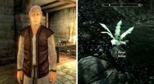 The Elder Scrolls oblivion skyrim sinderion nirnroot