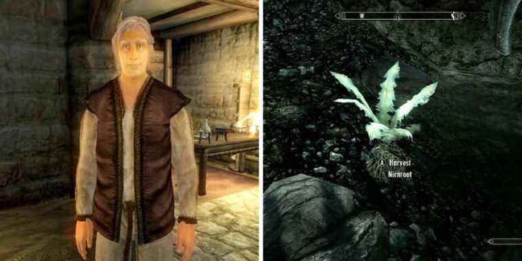 The Elder Scrolls oblivion skyrim sinderion nirnroot