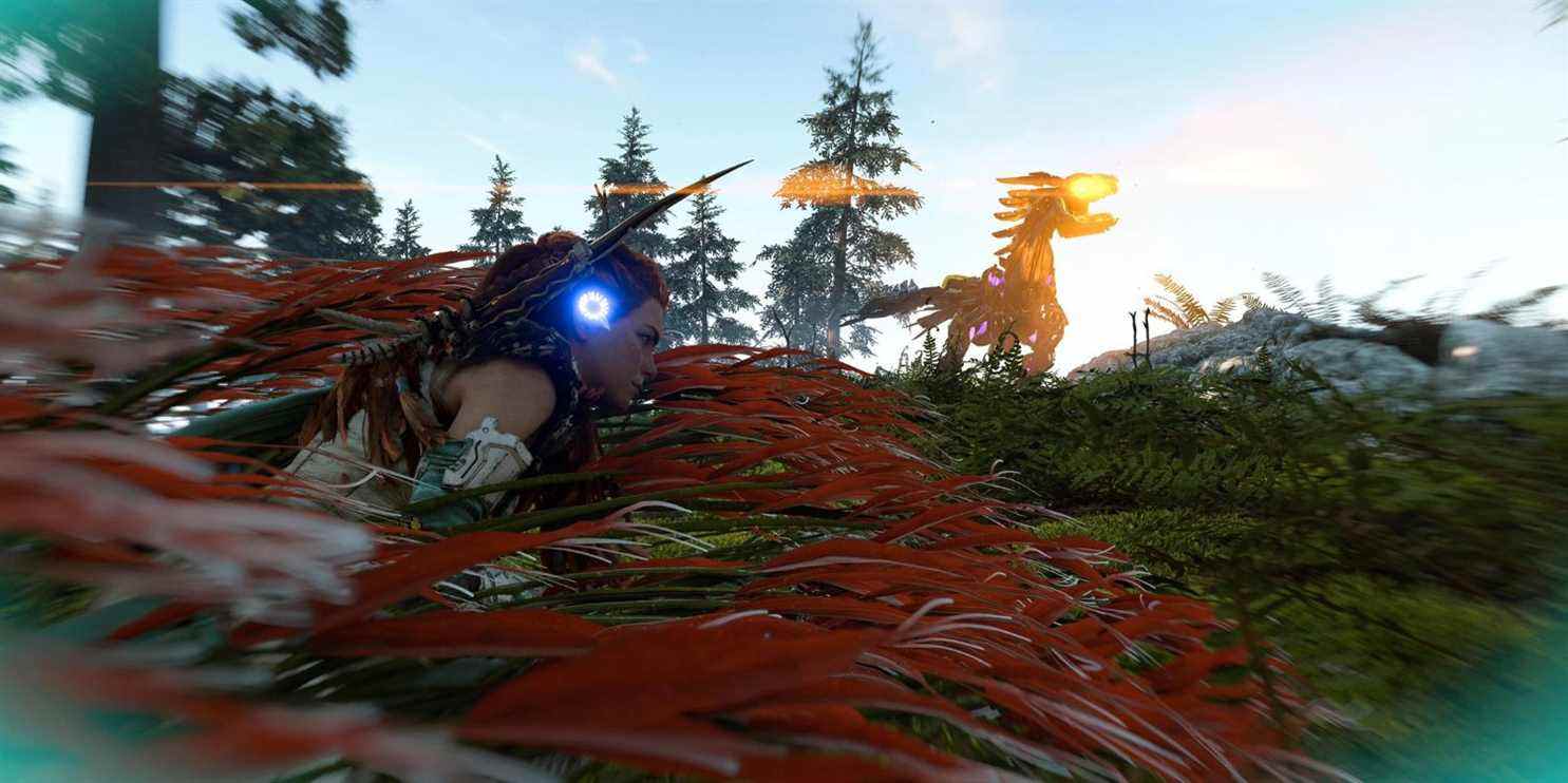 aloy se cachant dans l'herbe haute et rouge d'un robot raptor à proximité avec des yeux jaunes brillants