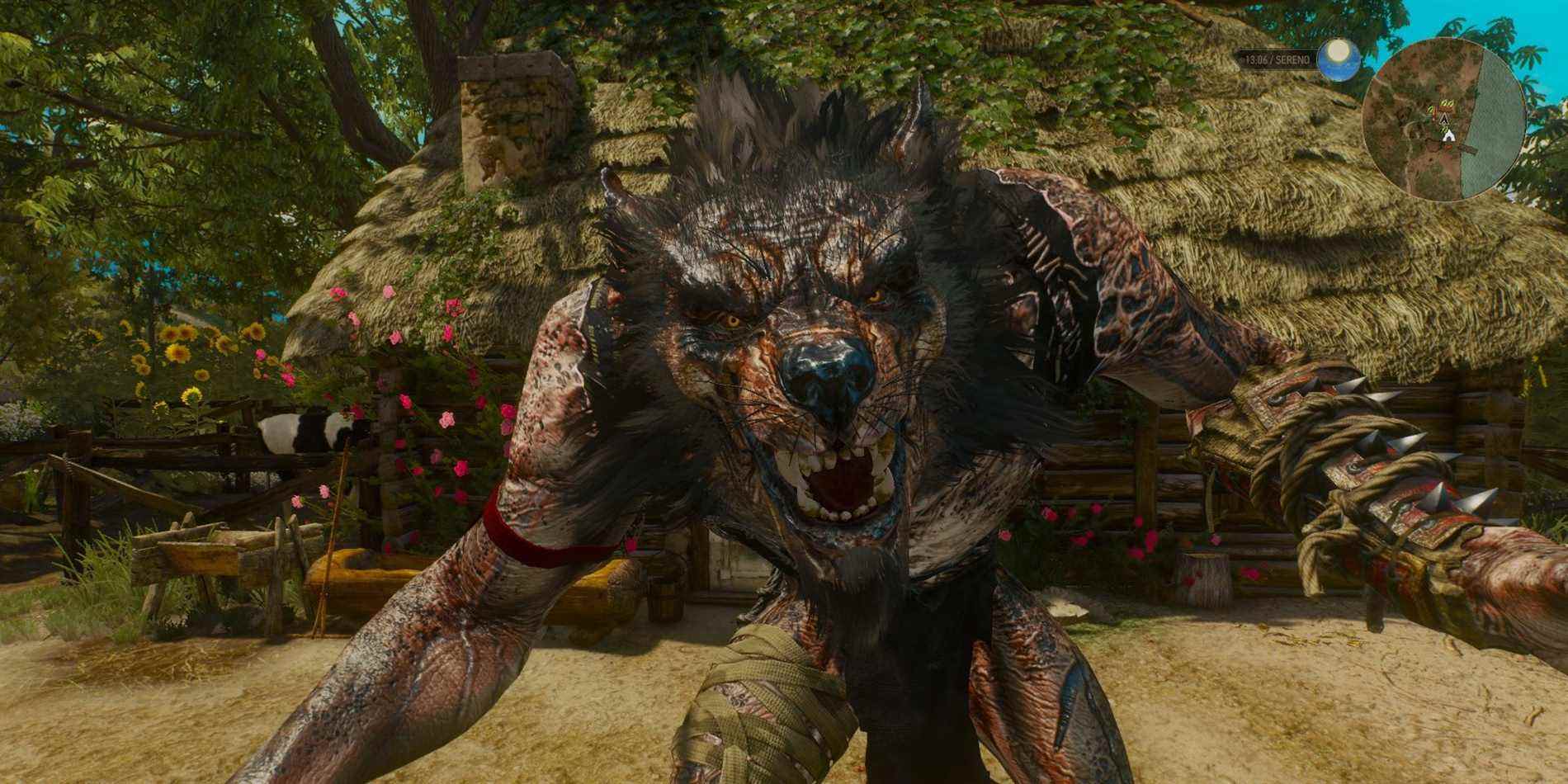 Loup-garou de The Witcher 3