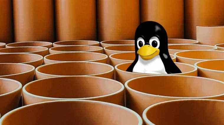 QNAP émet un avertissement concernant l’exploit Linux Dirty Pipe