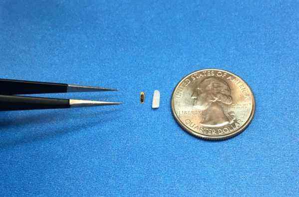 Injectsense recueille une subvention de 1,7 million de dollars pour son implant oculaire plus petit qu’un grain de riz