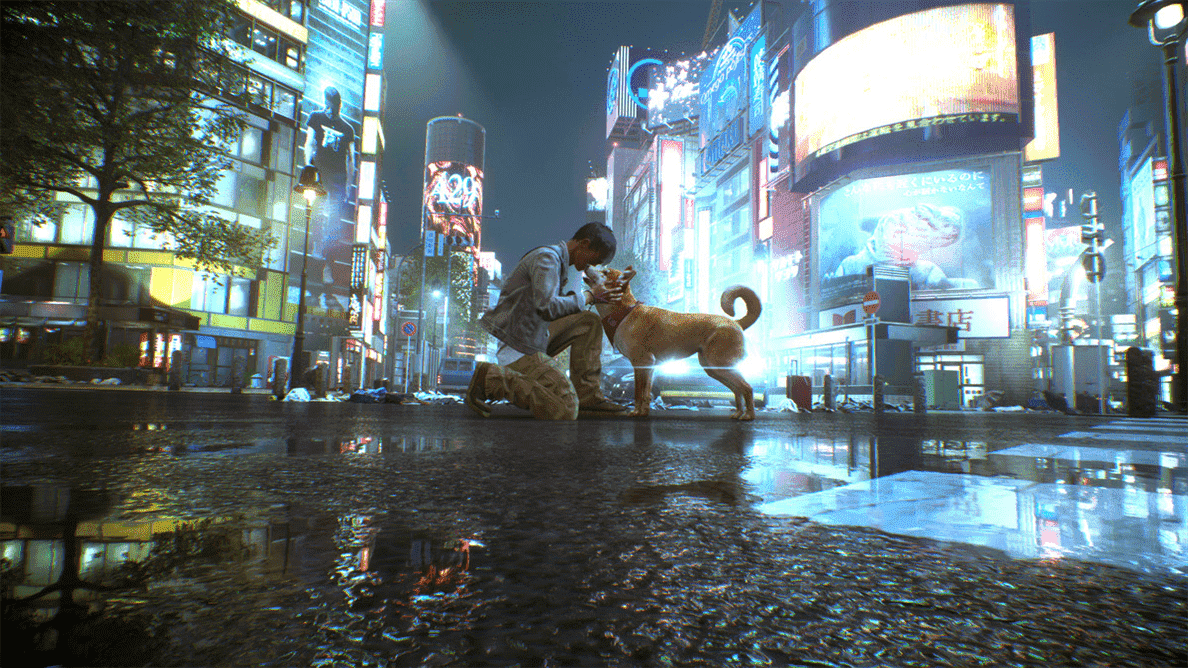 Akito caresse l'un des nombreux chiens de Shibuya