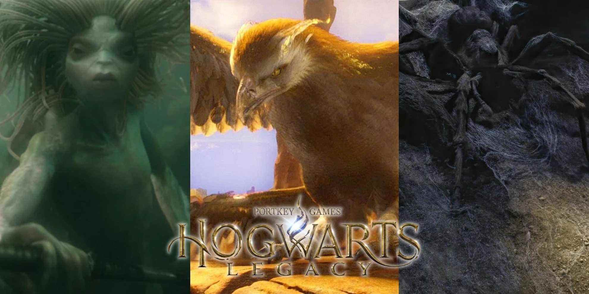 Hogwarts Legacy X Magical Creatures That Would Make Great Bosses Monster Hunter Hogwarts Cover