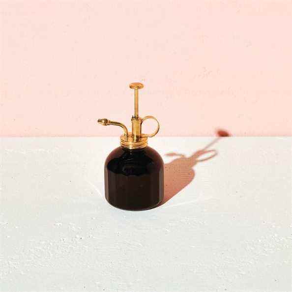 Le brumisateur pour plantes en verre noir The Black Home