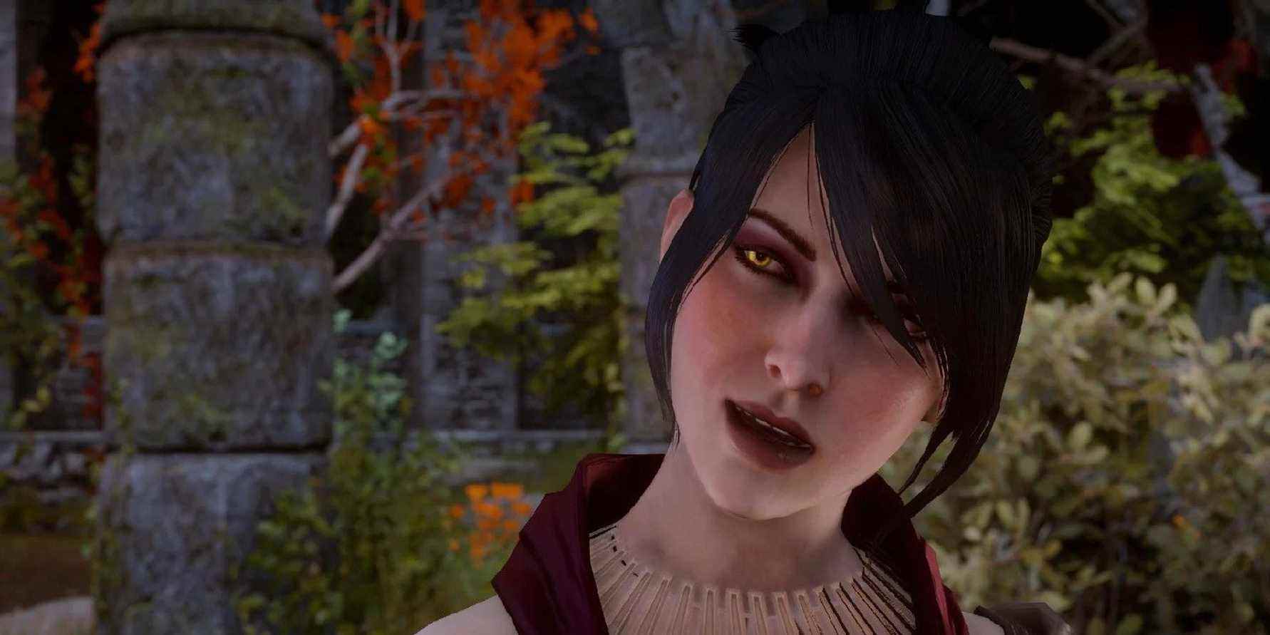 dragon-age-series-decisions-morrigan