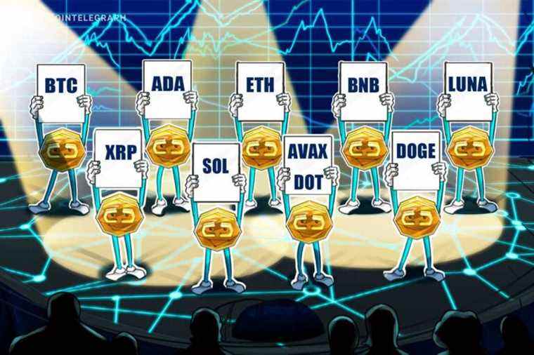 BTC, ETH, BNB, XRP, ADA, LUNA, SOL, AVAX, POINT, DOGE