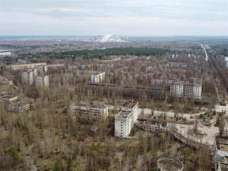 Des soldats russes non protégés ont dérangé de la poussière radioactive dans la «forêt rouge» de Tchernobyl, selon des travailleurs