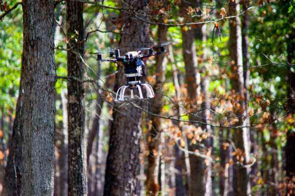 Treeswift utilise des drones pour surveiller les forêts