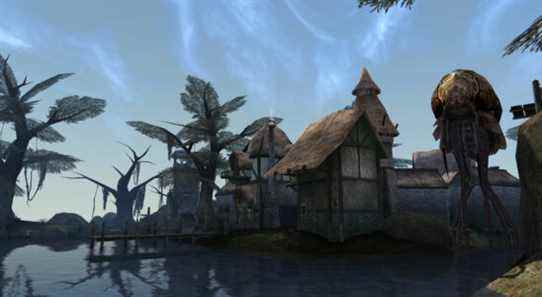 Morrowind anniversary