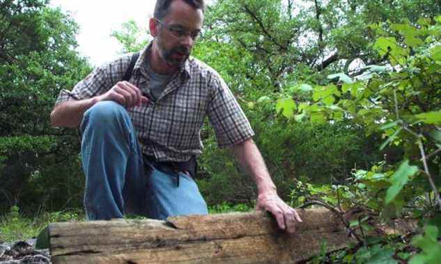 Edward LeBrun collecte des fourmis folles fauves sur un site du centre du Texas.