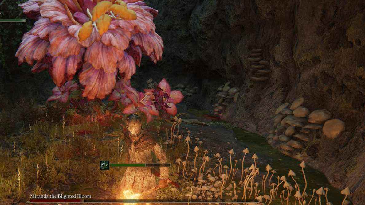 Combattre le boss de Tombsward Cave, Miranda the Blighted Bloom, dans Elden Ring