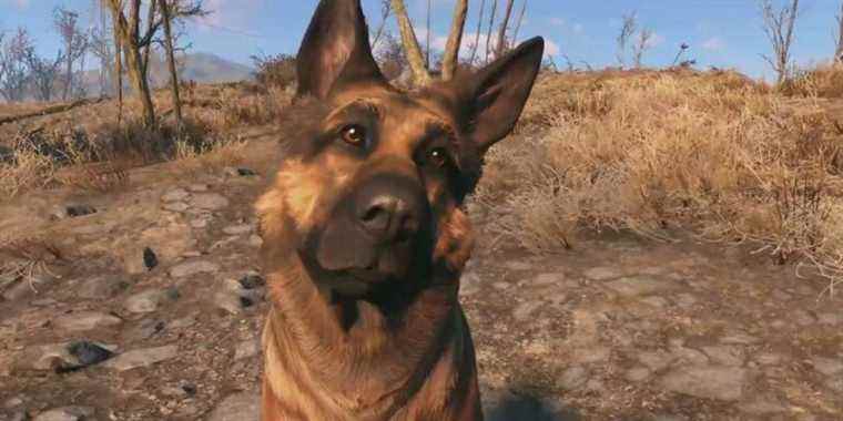 Dogmeat - via Bethesda