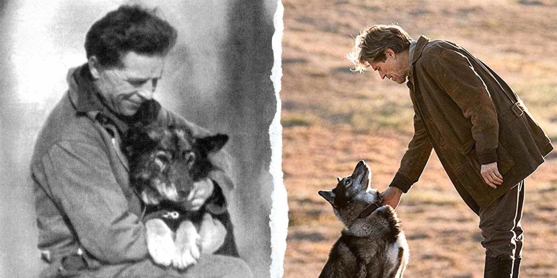 Dog Movie Togo comparaison avec l'histoire vraie