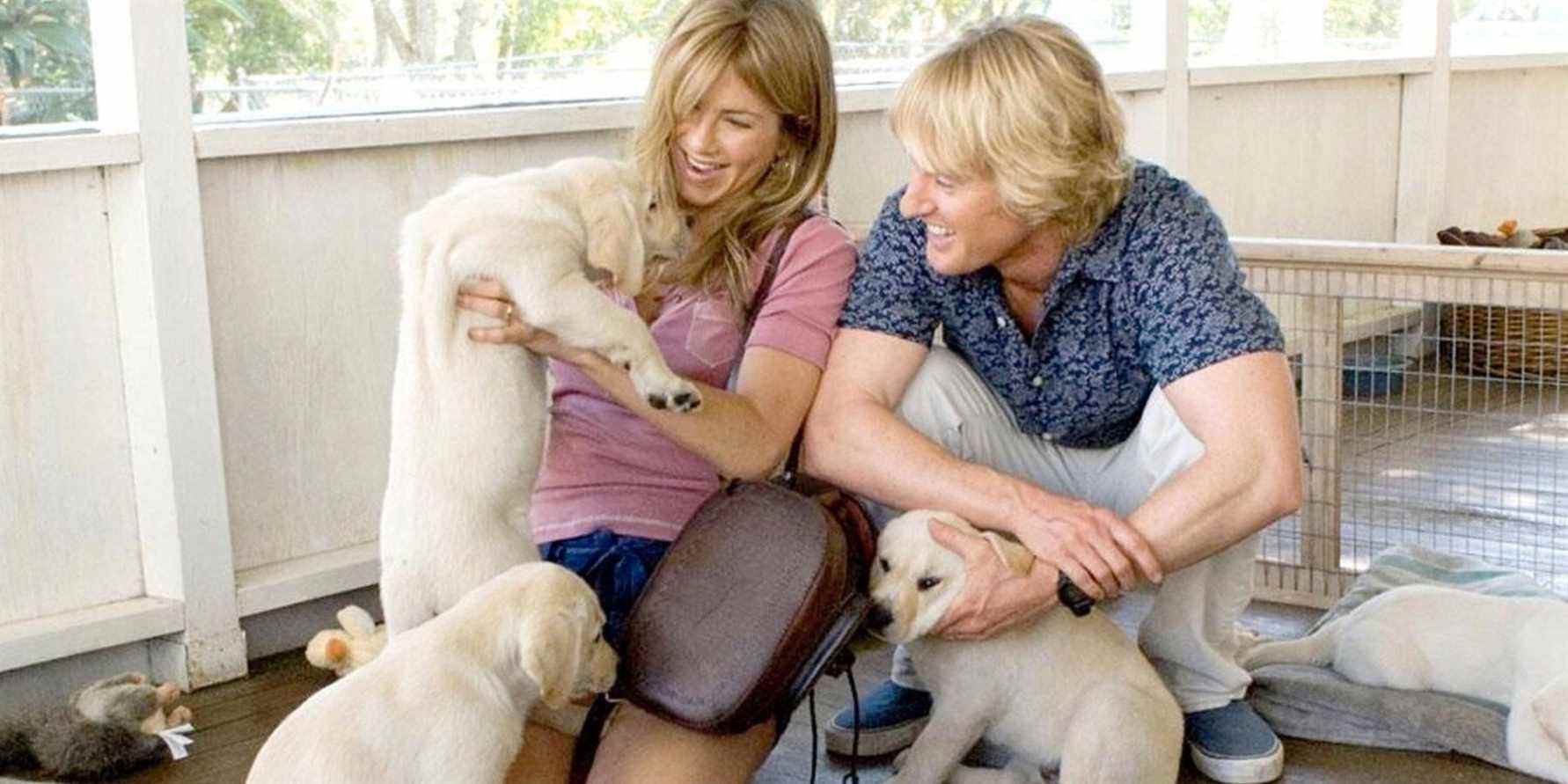 Dog Movie Marley & Me voyant les chiots