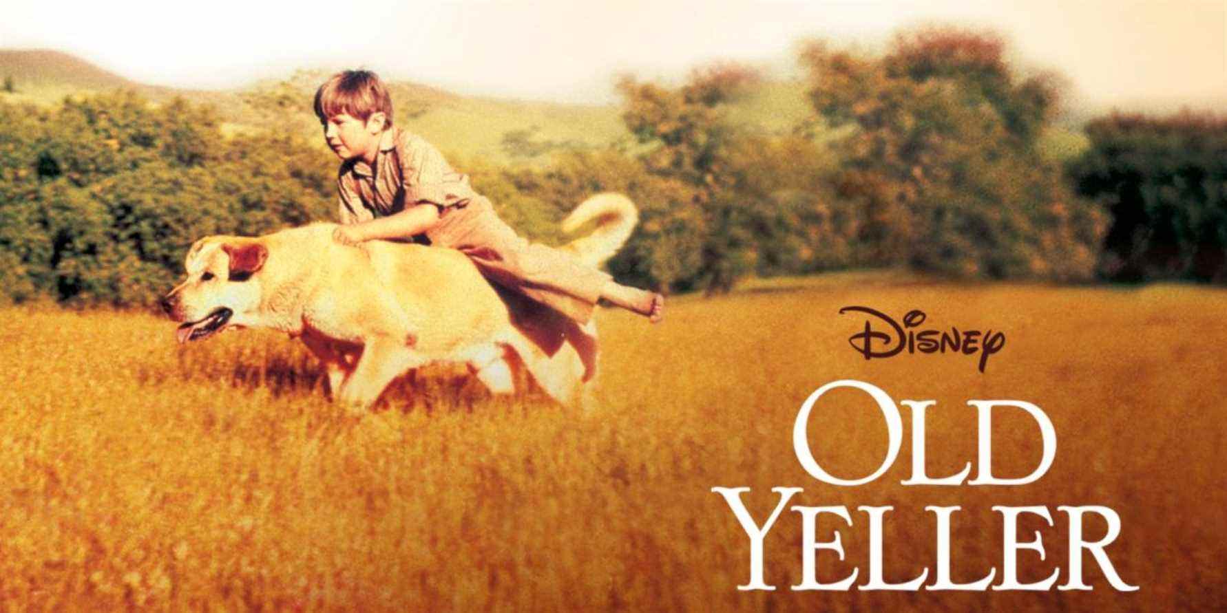 Affiche du film de chien Old Yeller