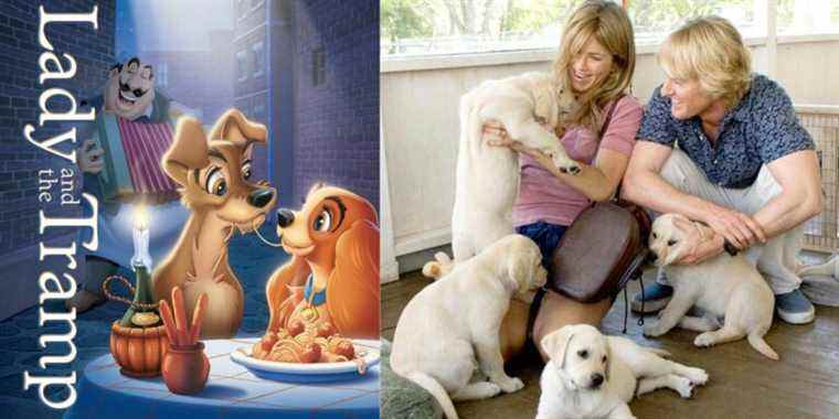 Lady and the Tramp and Marley And Me