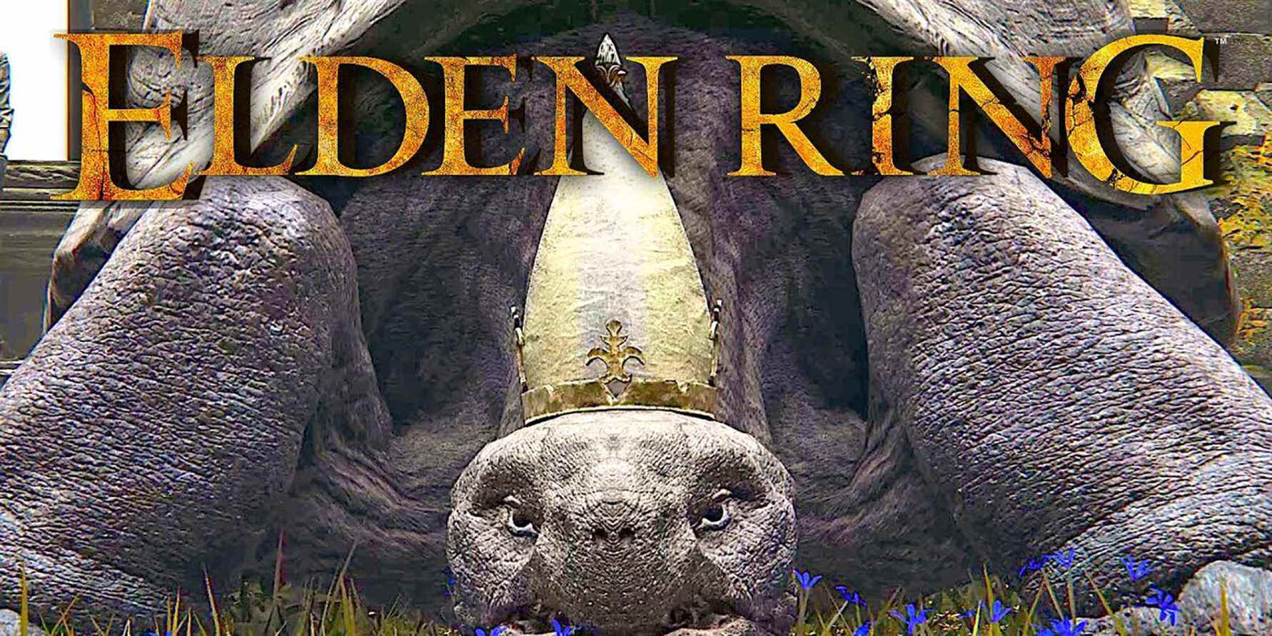 elden ring turtle pope