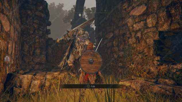 Elden Ring Blaidd Location, Not Appearing in Mistwood Ruins